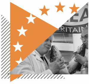 EU Referendum Analysis 2016 - section 2